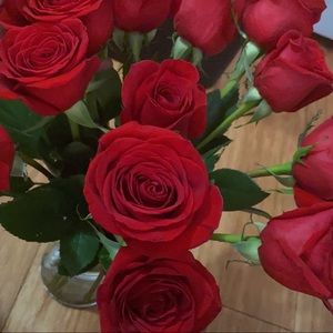 Meet your Posher, Maegan